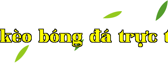 Hình ảnh